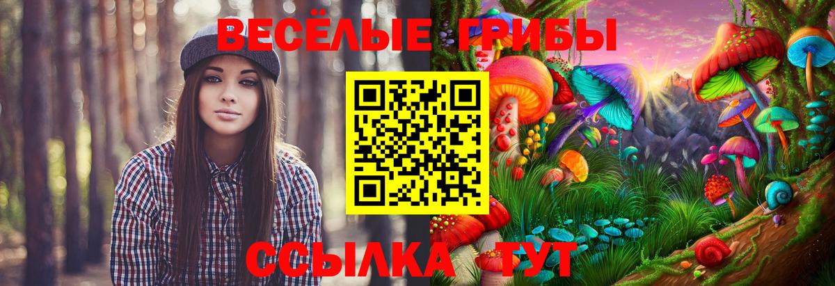 Галлюциногенные грибы MAGIC MUSHROOMS  Вход с VPN  Павлово 